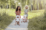 Little Dutch Metal Doll Stroller