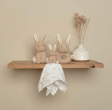 Little Dutch Baby Bunny Gift Box