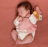 Little Dutch Flowers & Butterflies Gift Box